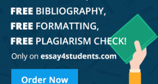 Essay4students.com